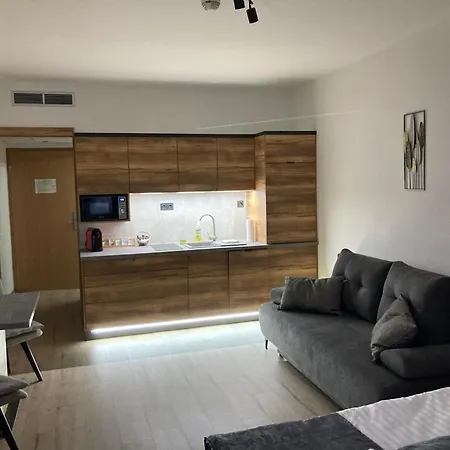 D&d Wellness - David Wellness 公寓式酒店 4*
