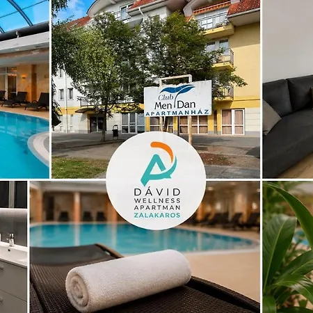 D&d Wellness - David Wellness Appart hôtel