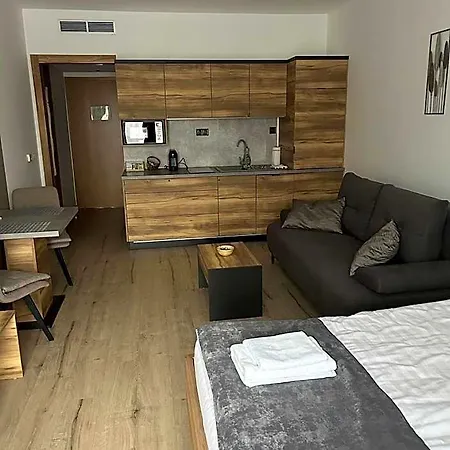 Aparthotel D&d Wellness - David Wellness 4*