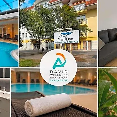 D&d Wellness - David Wellness 4* Zalakaros