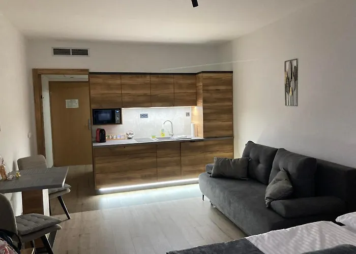 D&d Wellness - David Wellness 公寓式酒店 4*