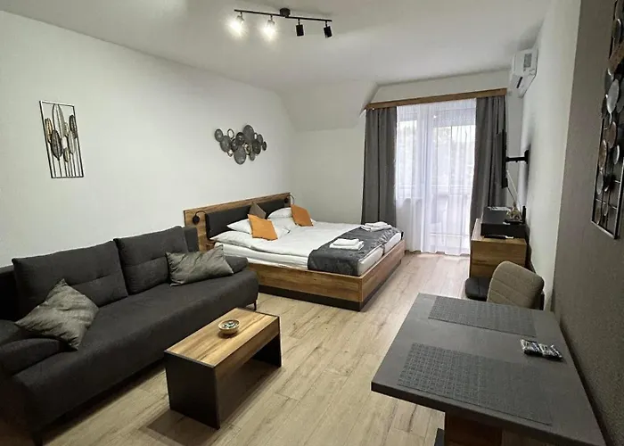 D&d Wellness - Dávid Wellness